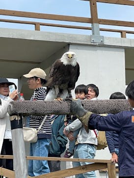 那須どうぶつ王国に投稿された画像（2025/5/6）