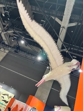 特別展「鳥～ゲノム解析が解き明かす新しい鳥類の系統～」に投稿された画像（2025/5/6）
