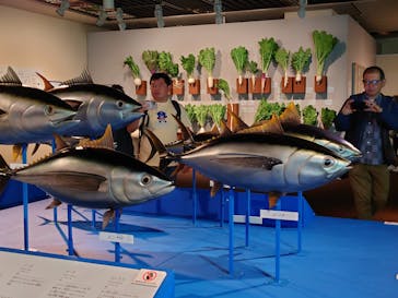 特別展「和食 ～日本の自然、人々の知恵～」に投稿された画像（2025/5/6）