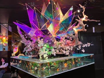 NARA KINGYO MUSEUMに投稿された画像（2025/5/6）