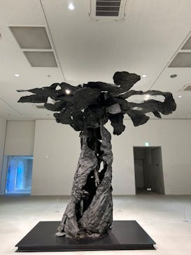 彫刻の森美術館に投稿された画像（2025/5/6）