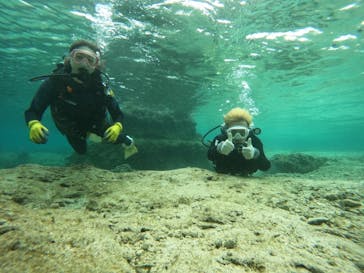 武藤潜水に投稿された画像（2025/5/6）