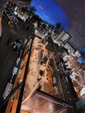 福井県立恐竜博物館に投稿された画像（2025/5/6）