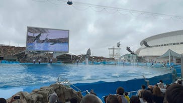 名古屋港水族館に投稿された画像（2025/5/6）