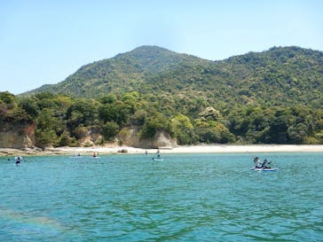 TEAM NARU（チームナルー）に投稿された画像（2025/5/6）