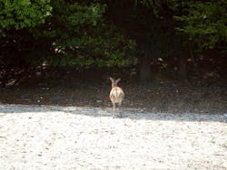TEAM NARU（チームナルー）に投稿された画像（2025/5/6）