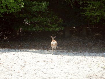 TEAM NARU（チームナルー）に投稿された画像（2025/5/6）