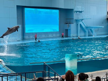 横浜・八景島シーパラダイスに投稿された画像（2025/5/6）