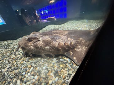 横浜・八景島シーパラダイスに投稿された画像（2025/5/6）