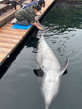 うみたま体験パーク 「つくみイルカ島」に投稿された画像（2025/5/6）