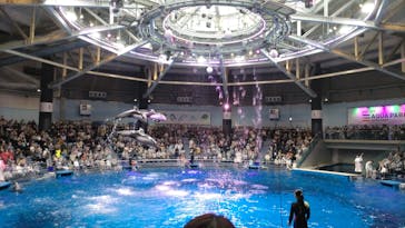 マクセル アクアパーク品川に投稿された画像（2025/5/6）