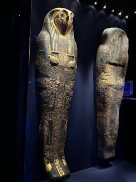 ACN ラムセス大王展 ファラオたちの黄金に投稿された画像（2025/5/6）