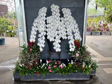 とっとり花回廊に投稿された画像（2025/5/6）