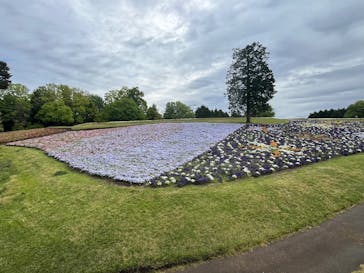 とっとり花回廊に投稿された画像（2025/5/6）