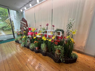 とっとり花回廊に投稿された画像（2025/5/6）