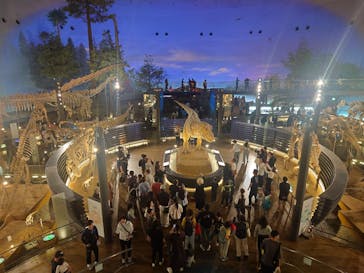福井県立恐竜博物館に投稿された画像（2025/5/6）