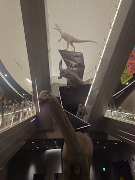 福井県立恐竜博物館に投稿された画像（2025/5/6）