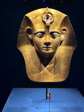 ACN ラムセス大王展 ファラオたちの黄金に投稿された画像（2025/5/6）