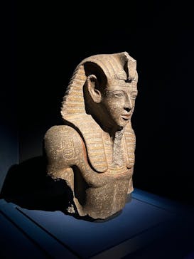 ACN ラムセス大王展 ファラオたちの黄金に投稿された画像（2025/5/6）