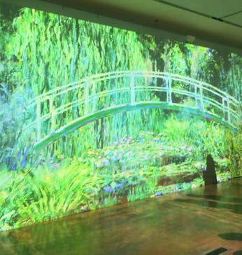 モネ　イマーシブ・ジャーニー　僕が見た光に投稿された画像（2025/5/6）