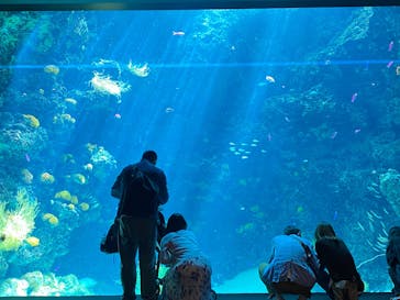 環境水族館アクアマリンふくしまに投稿された画像（2025/5/6）