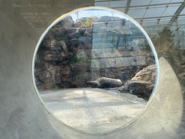 環境水族館アクアマリンふくしまに投稿された画像（2025/5/6）