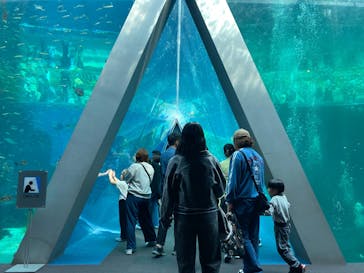 環境水族館アクアマリンふくしまに投稿された画像（2025/5/6）
