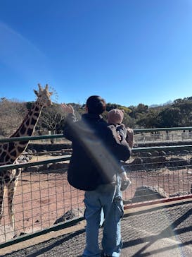 伊豆アニマルキングダムに投稿された画像（2025/5/6）