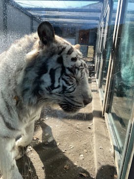 伊豆アニマルキングダムに投稿された画像（2025/5/6）