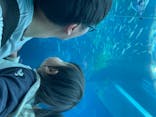 環境水族館アクアマリンふくしまに投稿された画像（2025/5/6）