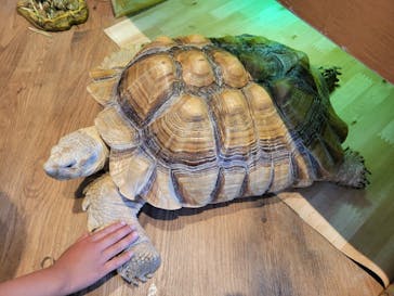 Moff animal cafe 小田原ダイナシティ店に投稿された画像（2025/5/6）