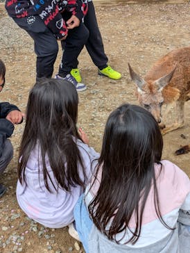 秋田市大森山動物園に投稿された画像（2025/5/6）