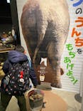  うんち展　-No UNCHI, No LIFE-に投稿された画像（2025/5/6）