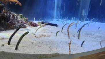 名古屋港水族館に投稿された画像（2025/5/6）