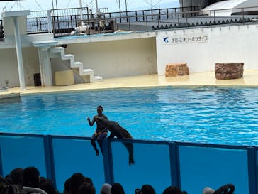 伊豆・三津シーパラダイスに投稿された画像（2025/5/6）