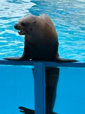 伊豆・三津シーパラダイスに投稿された画像（2025/5/6）