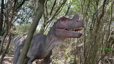 芝政ワールドに投稿された画像（2025/5/6）