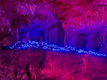 石垣島鍾乳洞に投稿された画像（2025/5/6）