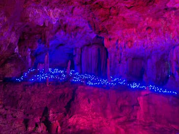 石垣島鍾乳洞に投稿された画像（2025/5/6）