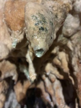 石垣島鍾乳洞に投稿された画像（2025/5/6）