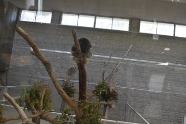 淡路ファームパーク イングランドの丘に投稿された画像（2025/5/6）