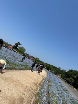 淡路ファームパーク イングランドの丘に投稿された画像（2025/5/6）