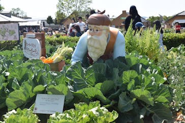 淡路ファームパーク イングランドの丘に投稿された画像（2025/5/6）