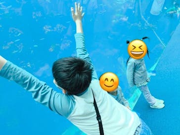 環境水族館アクアマリンふくしまに投稿された画像（2025/5/6）