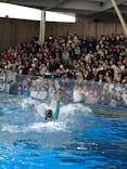 上越市立水族博物館 うみがたりに投稿された画像（2025/5/6）