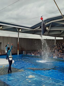 上越市立水族博物館 うみがたりに投稿された画像（2025/5/6）