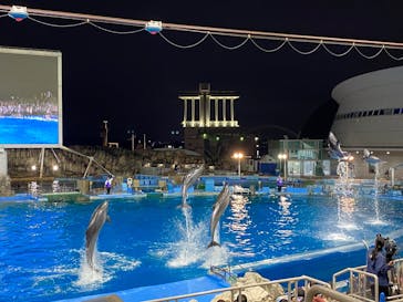 名古屋港水族館に投稿された画像（2025/5/6）