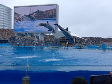 名古屋港水族館に投稿された画像（2025/5/6）