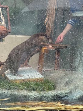 サンシャイン水族館に投稿された画像（2025/5/6）