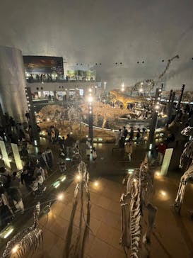 福井県立恐竜博物館に投稿された画像（2025/5/6）